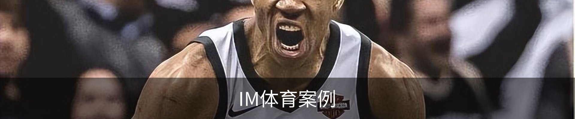 IM体育案例